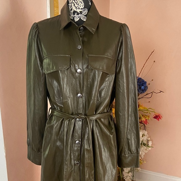Zara Olive Green Belted Dress - Picture 12 of 14